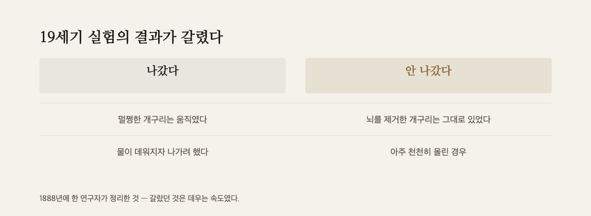 나갔다는 기록과 안 나갔다는 기록을 나란히 놓은 대조표