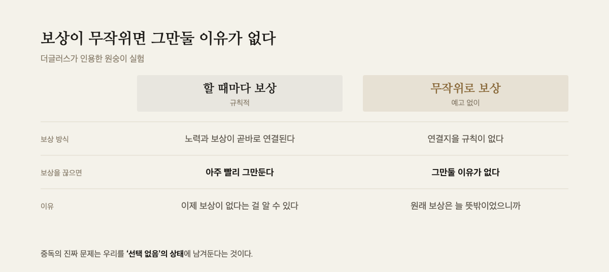 규칙적 보상과 무작위 보상을 비교한 표 — 보상을 끊었을 때 한쪽은 빨리 그만두고 다른 쪽은 그만둘 이유가 없다