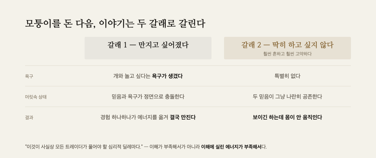 모퉁이를 돈 뒤 이야기가 갈리는 두 갈래 — 만지고 싶어진 경우와 딱히 하고 싶지 않은 경우를 비교한 표